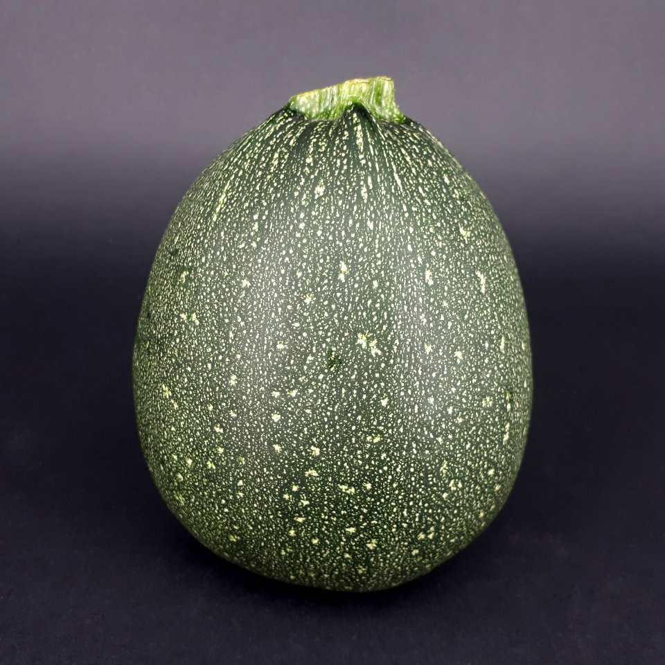 Round zucchini 2017 A3