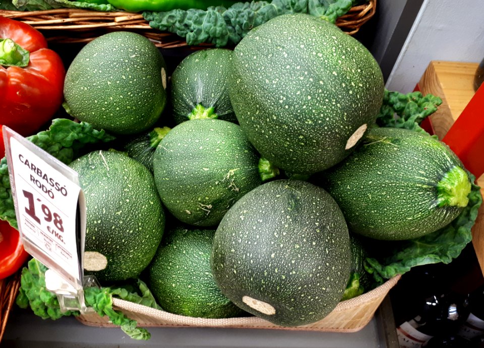 Round zucchinis 2017 A