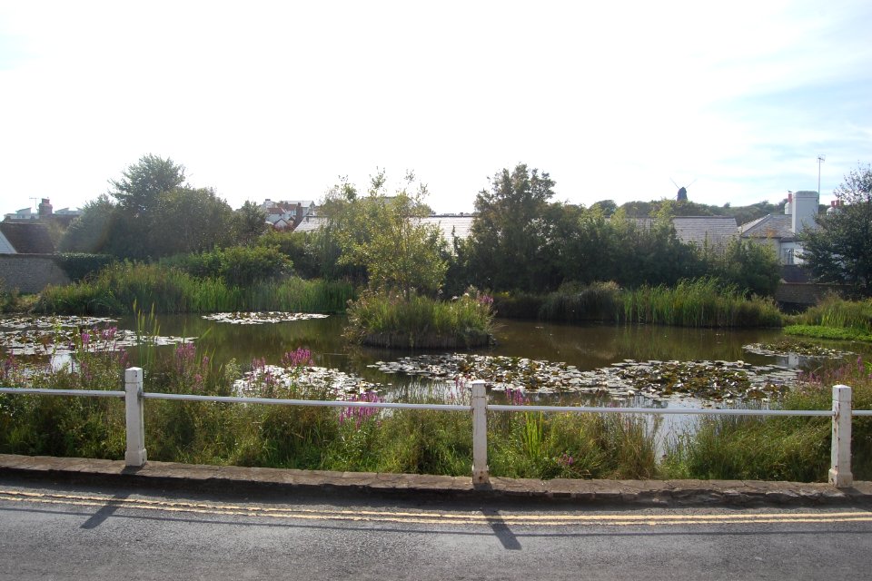 Rottingdean Pond, The Green, Rottingdean (August 2019)
