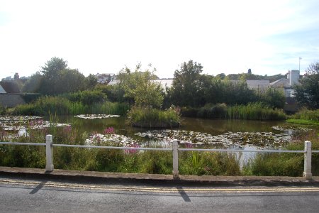 Rottingdean Pond, The Green, Rottingdean (August 2019)