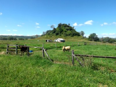 Round Mountain at Laravale, Queensland 2