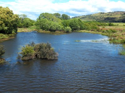 Ross Bridge 20201113-016