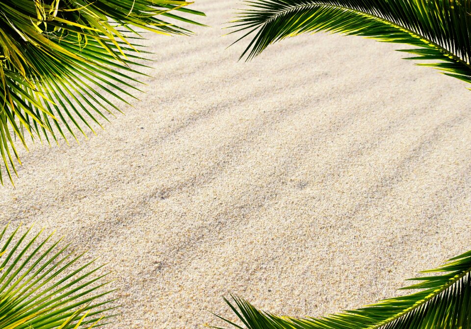 Greeting card caribbean vacations