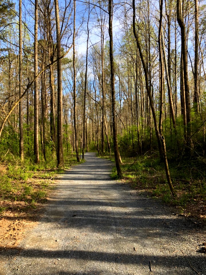 Roswell Riverwalk Trail, March 2018 2