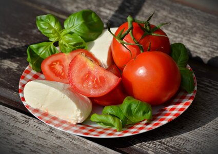 Basil tomato and mozzarella salad starter