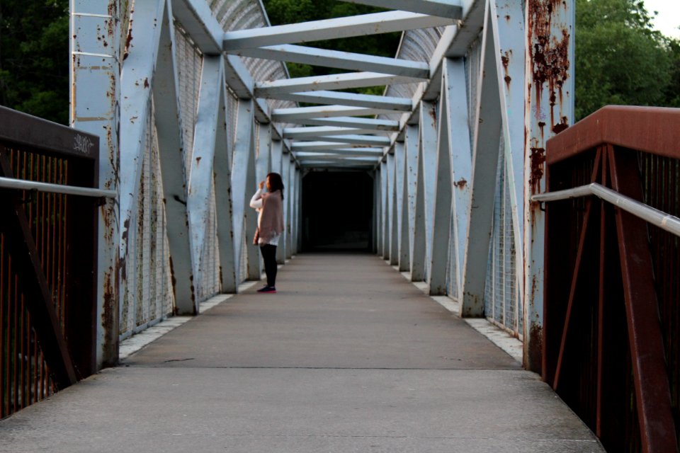 Rouge Beach footbridge, June 2018 (2)