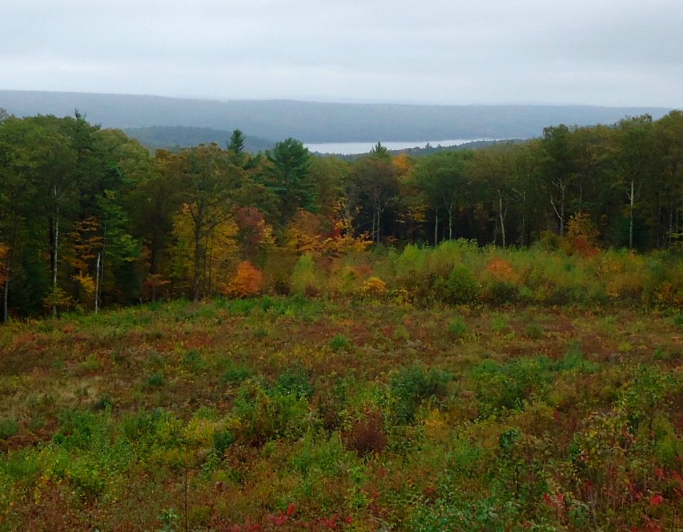 Route 202 view Pelham Massachusetts early autumn scene