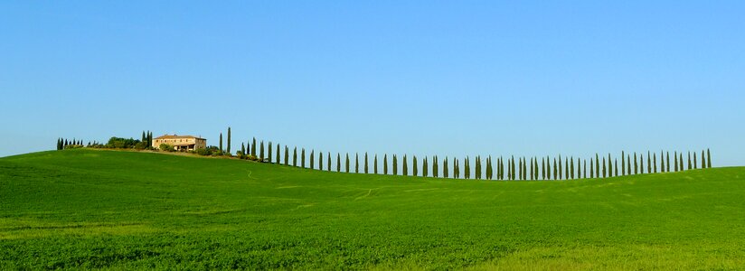 Scenic panorama green