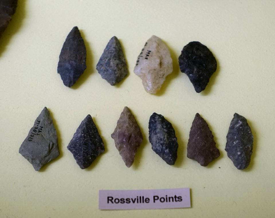 Rossville points - Early Woodland collection - Robbins Museum - Middleborough, Massachusetts - DSC03828