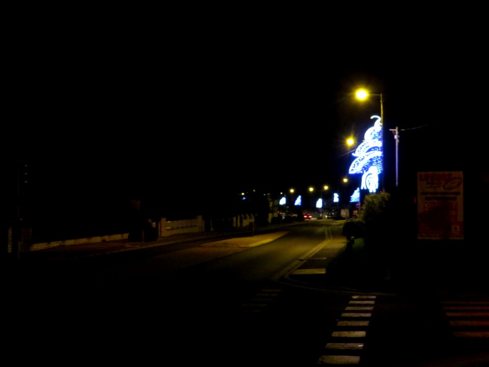 Route de Montereau (D403) - 02 - decoration de noel