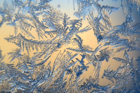 Frosty frozen macro photo