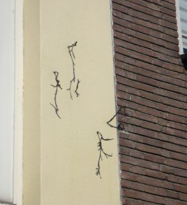 Rotterdam kunstwerk van vlinderbuurt tot takkenwijk