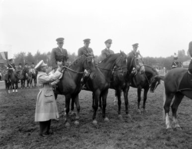 Rotterdam laatste dag Concours Hippique, Bestanddeelnr 906-7005