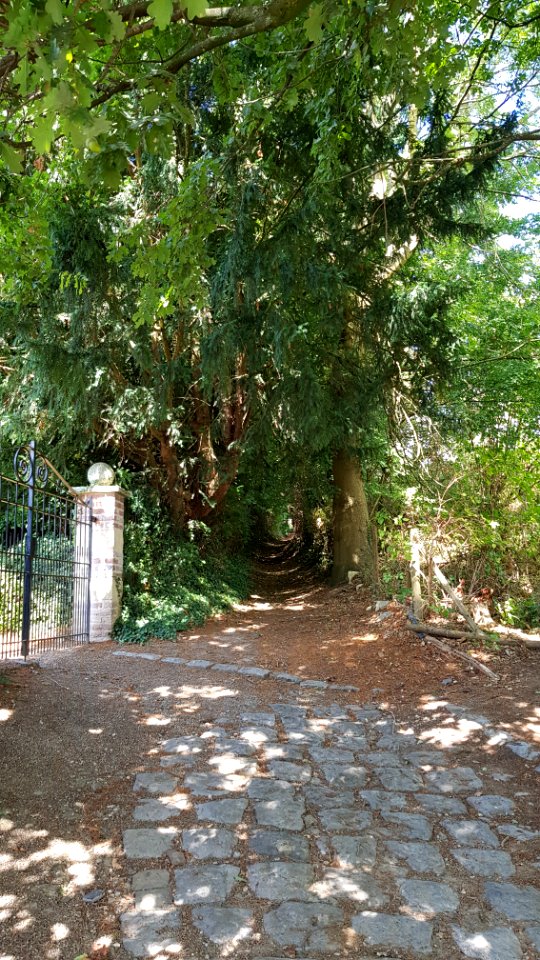 Rosmeer-Pastoorsteeg (1)