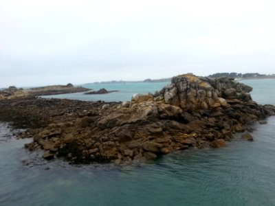 Roscoff Vent 39