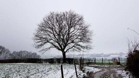 Rott-wegkruis Rotterbeemdenweg (no. 1362) (1)