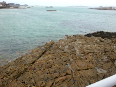 Roscoff Vent 47