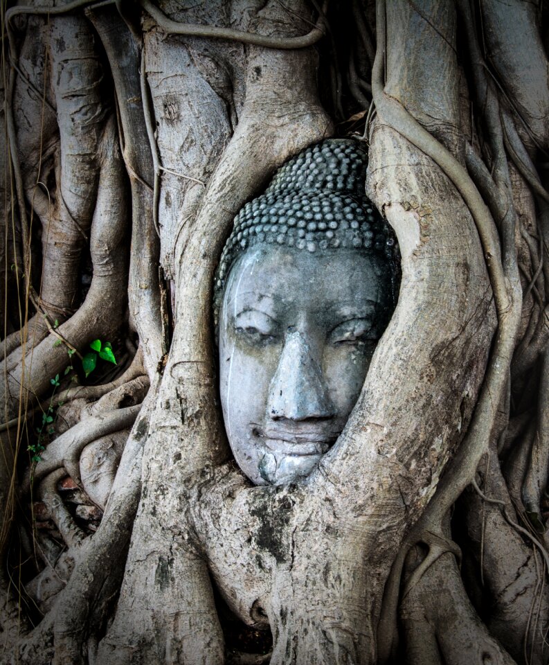 Culture thai tourism