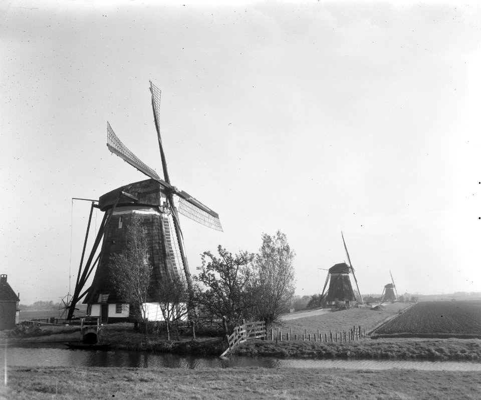 Rotterdam molens in Tweemanspolder worden elektrisch, Bestanddeelnr 904-8381