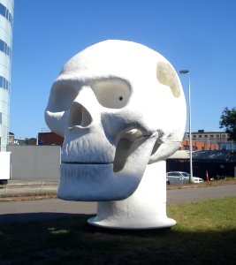 Rotterdam kunstwerk wellness skull