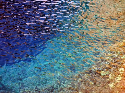 Water summer clear
