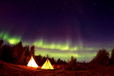 Aurora borealis northern lights forest photo