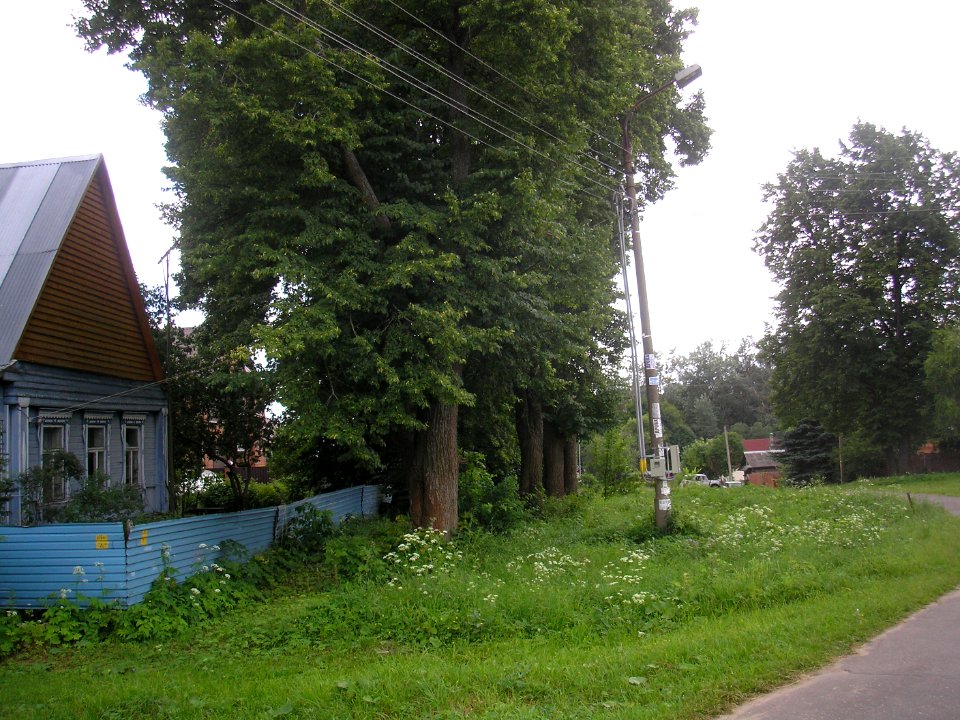 Rozhdestvenno Istrainskiy 7