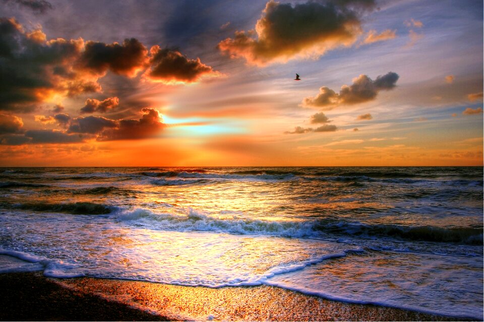 Sunset romance twilight