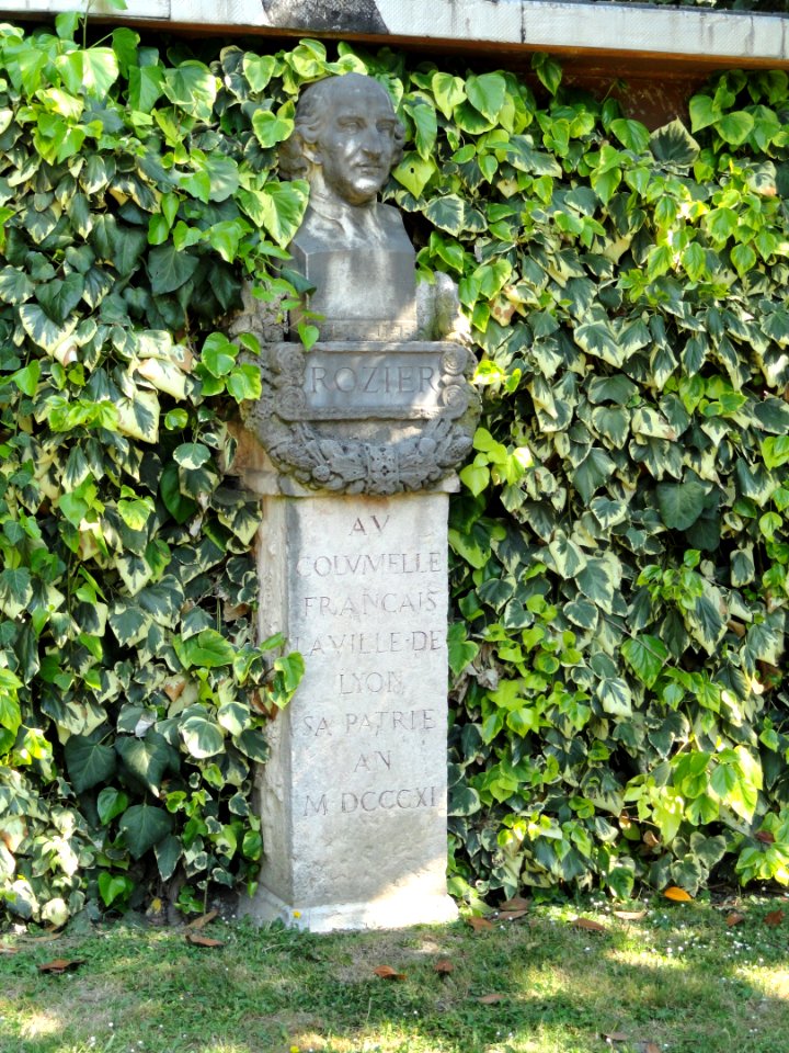 Rozier monument - Parc de la Tête d'Or - DSC05300