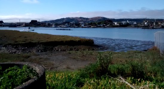 Rowers on Corte Madera Creek