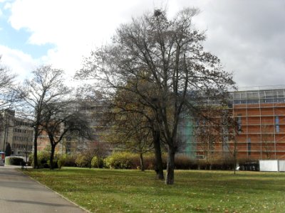 Rozestavenost OD Teplice - Namesti Svobody 30 rijna 2013 5