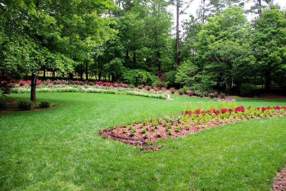 Row of flowers, Gibbs Gardens, May 2017 2