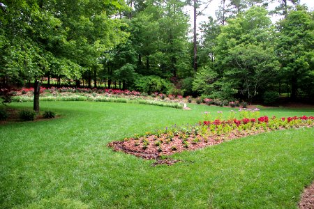 Row of flowers, Gibbs Gardens, May 2017 2