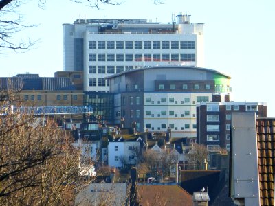 Royal Sussex County Hospital seen from Park Hill, Queen's Park, Brighton (January 2014)