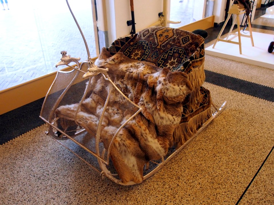 Royal Sleigh pic3