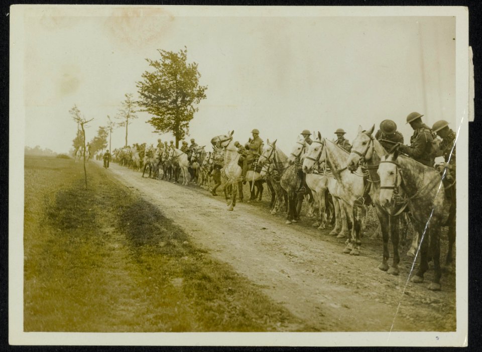 Royal Scots Greys on a road in France, Bestanddeelnr 158-0739