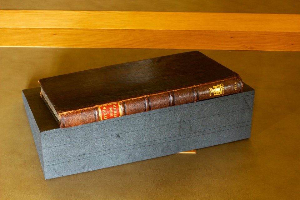 Royal Society - John Evelyn’s Sylva 2