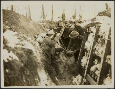 Royal Welsh Fusiliers excavating dug-outs in their trenches., Bestanddeelnr 158-2062