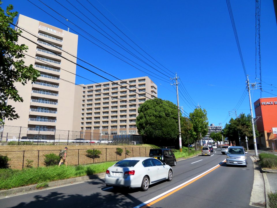 Route-488-Mikawatoyota-Teishajo-Obayashi-1