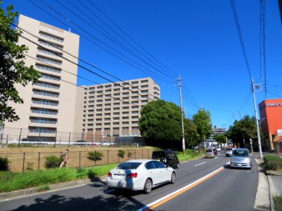 Route-488-Mikawatoyota-Teishajo-Obayashi-1