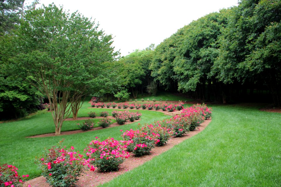 Row of flowers, Gibbs Gardens, May 2017 3
