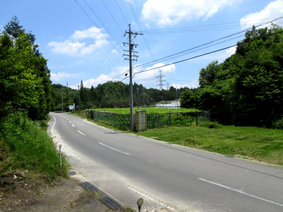 Route-339-Nagasawa-Higashikuramae-1