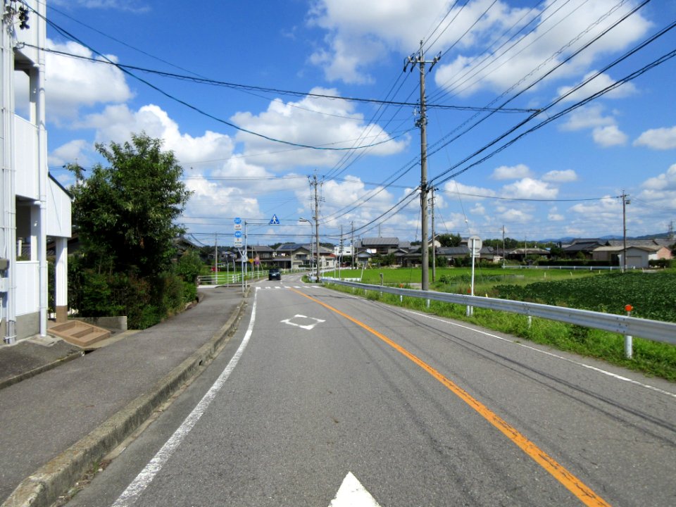 Route-480-Miai-Kouta-1