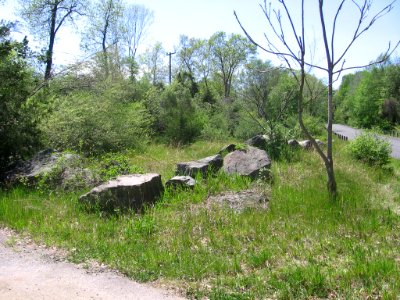Roxbury Falls station site 071