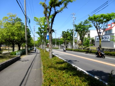 Route-48-Okazaki-Kariya-2