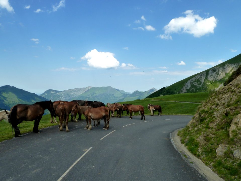 Route Soulor-Aubisque vue 14