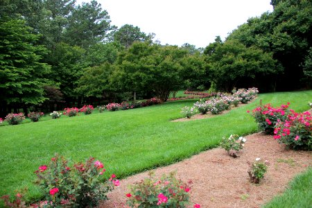 Row of flowers, Gibbs Gardens, May 2017 4