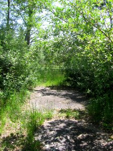 Roxbury Falls right of way 072