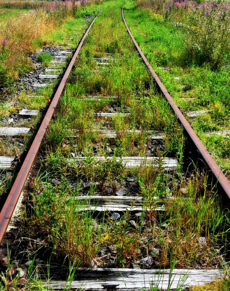 Track bed railroad tracks railway
