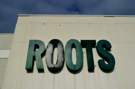Roots3175Hwy7East
